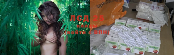 PSILOCYBIN Анжеро-Судженск