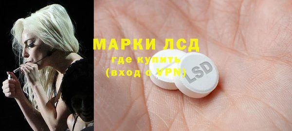 PSILOCYBIN Анжеро-Судженск