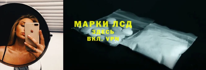 PSILOCYBIN Анжеро-Судженск