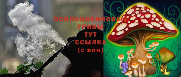 PSILOCYBIN Анжеро-Судженск