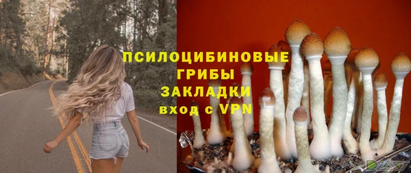 трава Апатиты