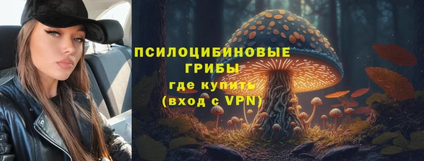 PSILOCYBIN Анжеро-Судженск