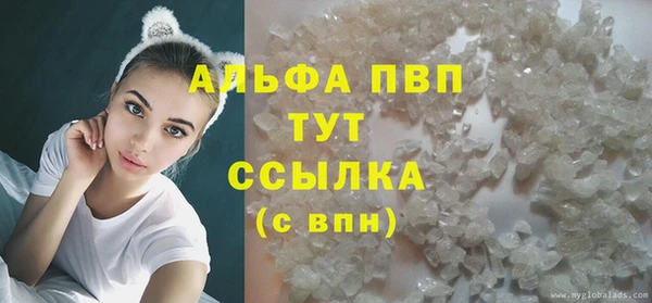 PSILOCYBIN Анжеро-Судженск